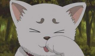 凯蒂猫有嘴巴时的照片 凯蒂猫有嘴巴时的照片